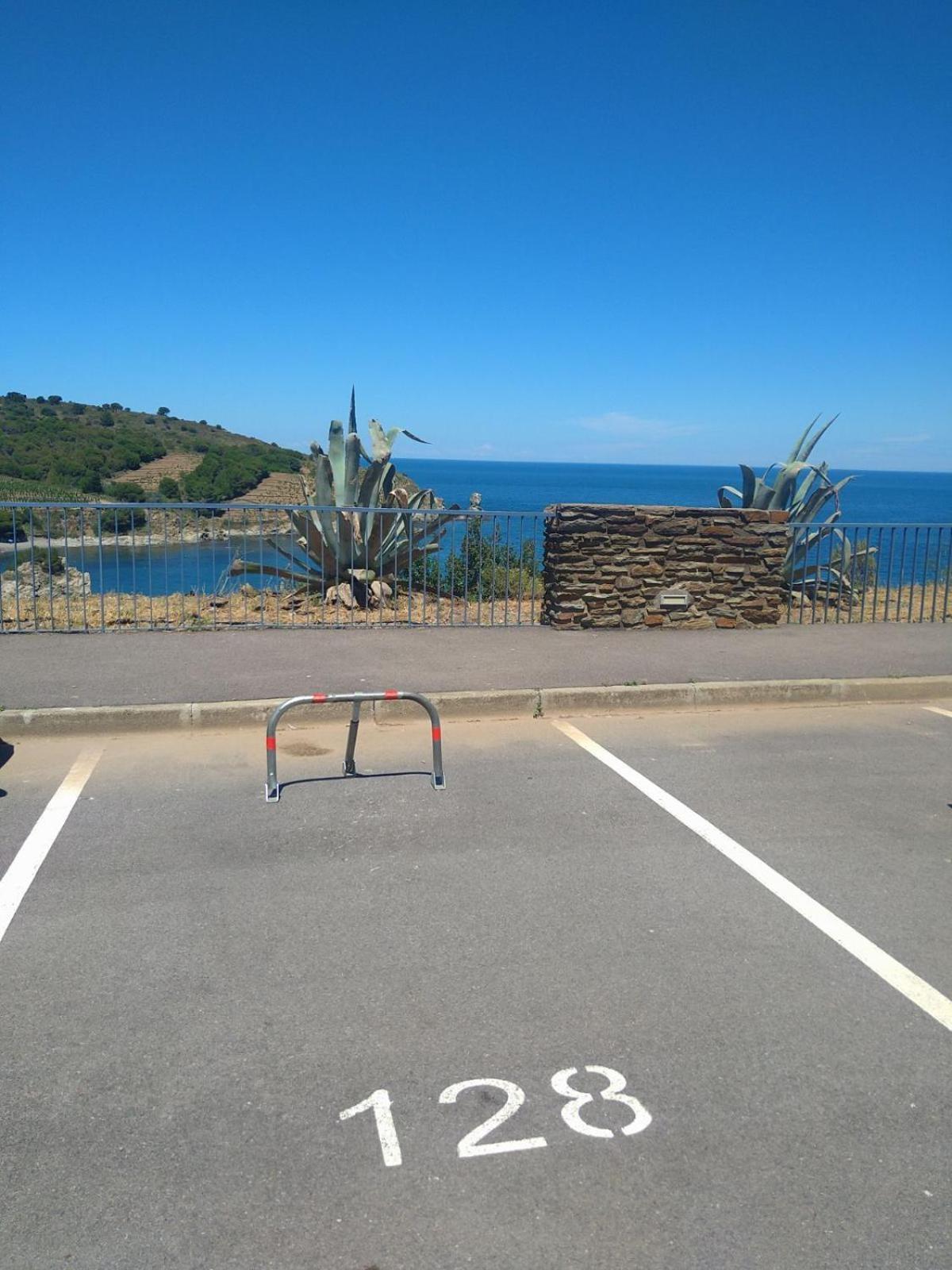 Grand Studio Avec Vue Sur La Mer Et Parking バニュルス・シュル・メール エクステリア 写真